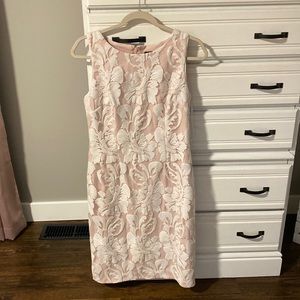 Stunning Blush & White Sheath Dress